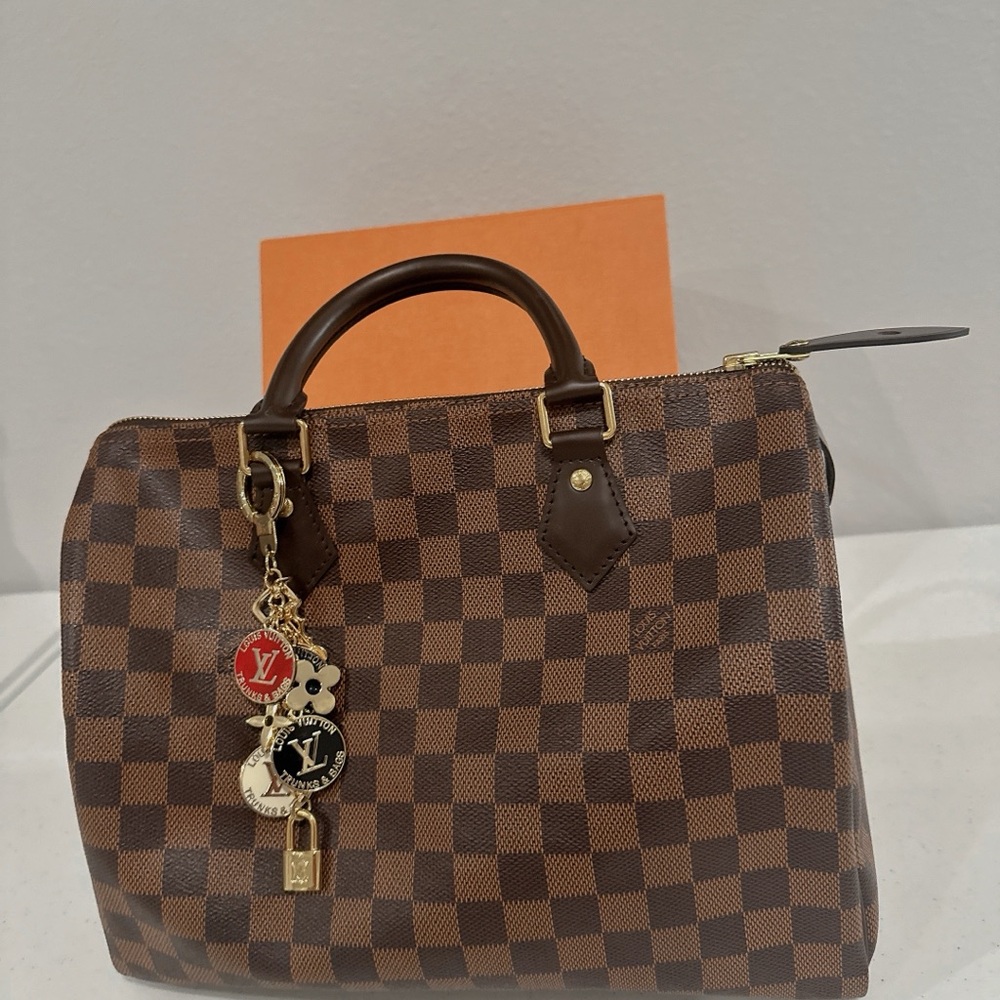 Louis Vuitton brand new speedy 30